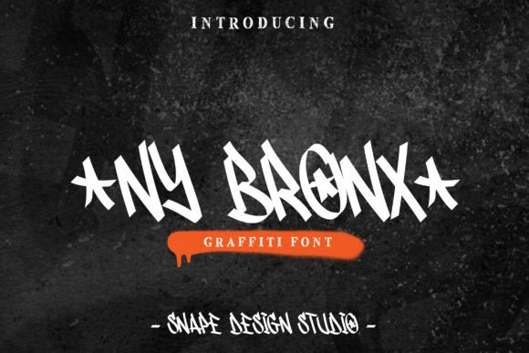 Ny Bronx Display Font for Editorial Mood and Brand Identity