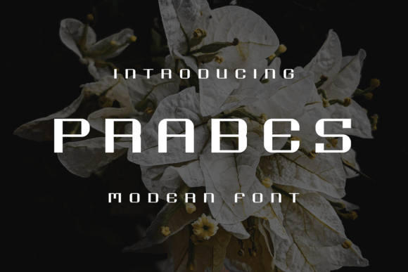 Prabes Font: A Fun and Unique Display Typeface for Bold Branding