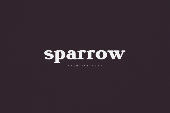 Sparrow Display Font for Handmade Branding
