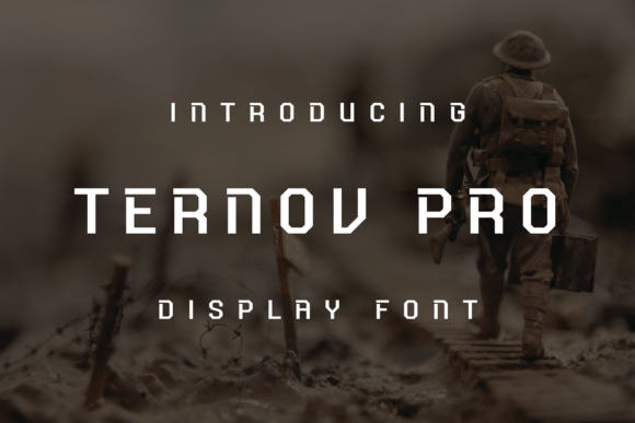 Ternov Pro Display Font for Bold, Playful Branding